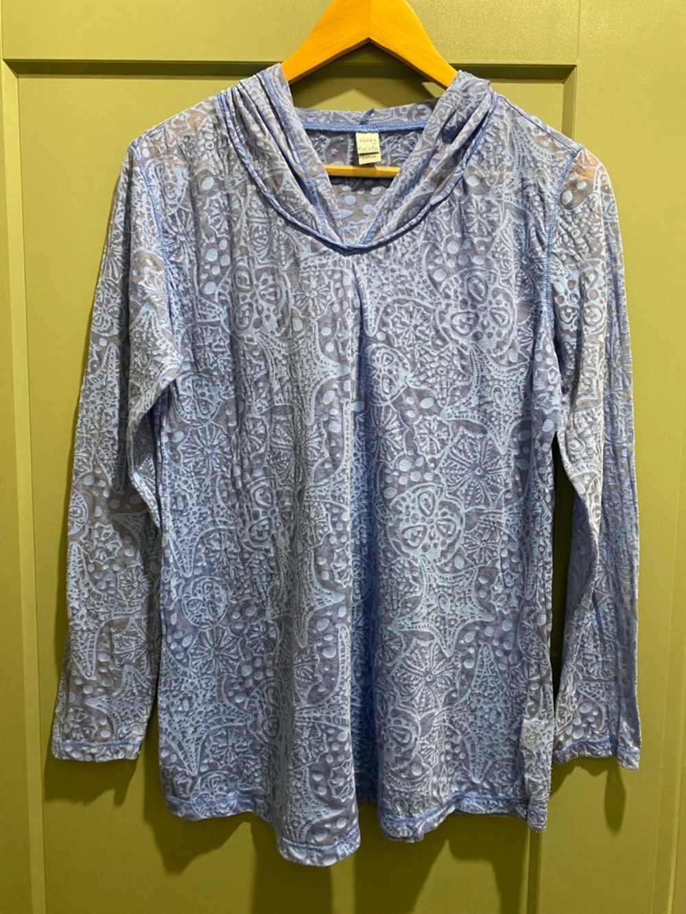 Sheer Light Blue Printed Long-Sleeve Hooded Tee